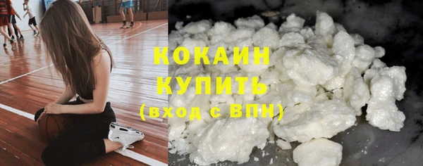 PSILOCYBIN Богородск
