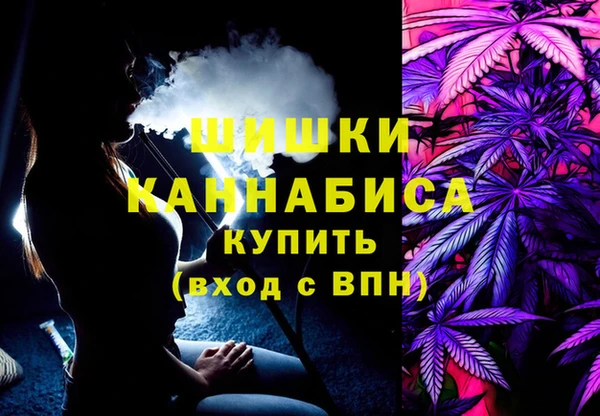 винт Бронницы