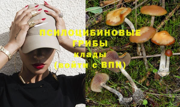 меф Богданович