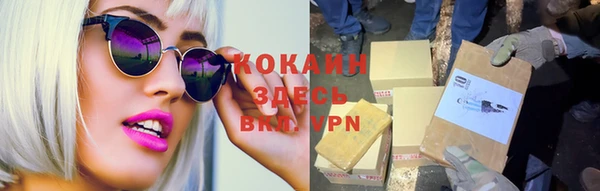 стаф Балахна