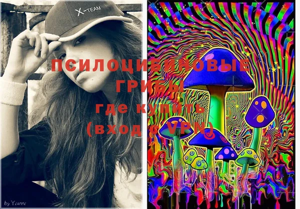 PSILOCYBIN Богородск