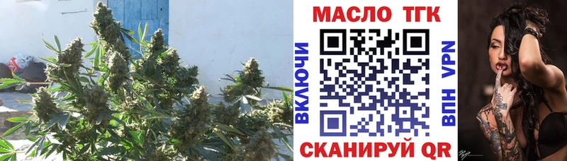 как найти закладки  Вуктыл  Дистиллят ТГК THC oil 